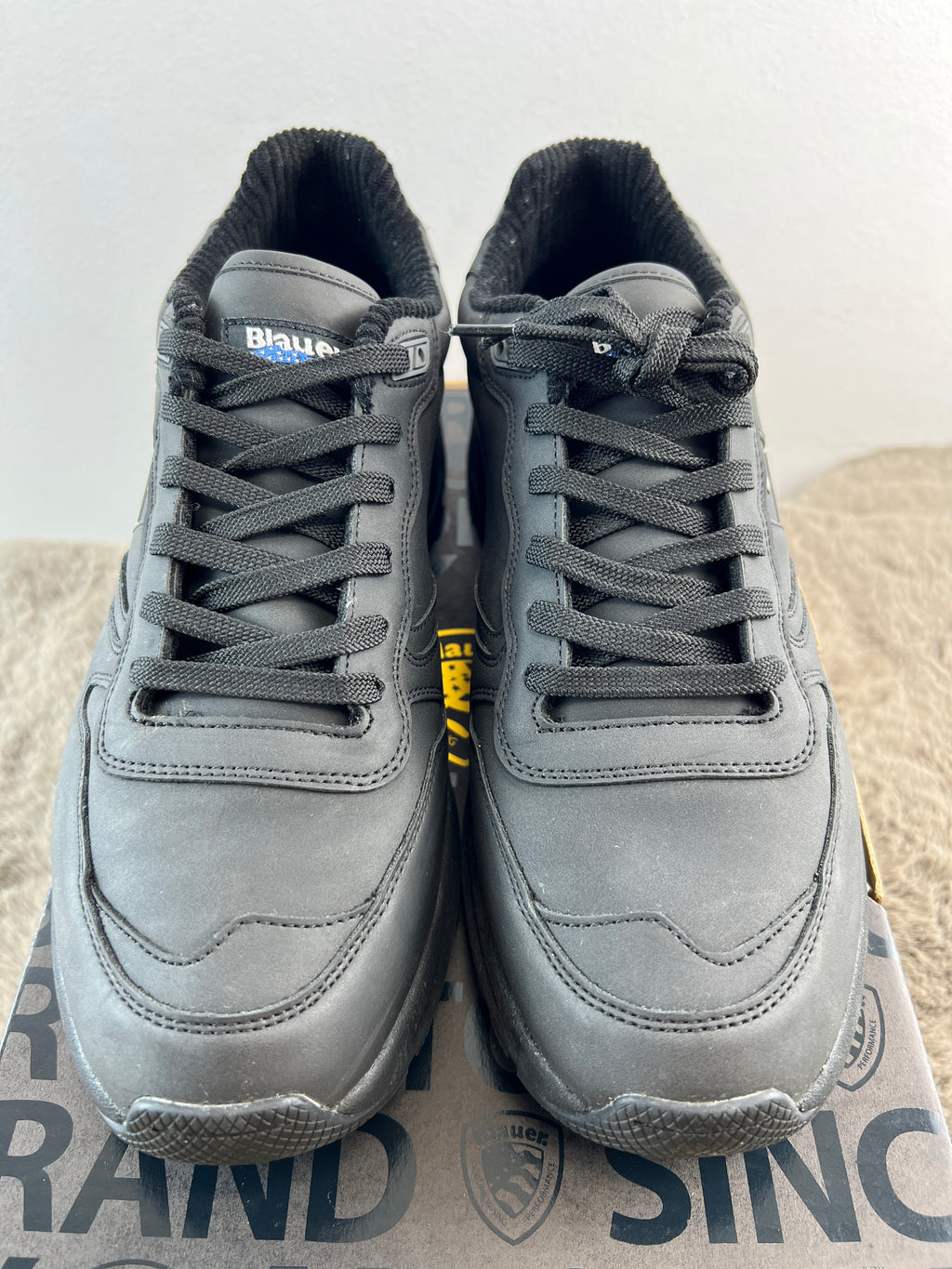 BLAUER RAY04