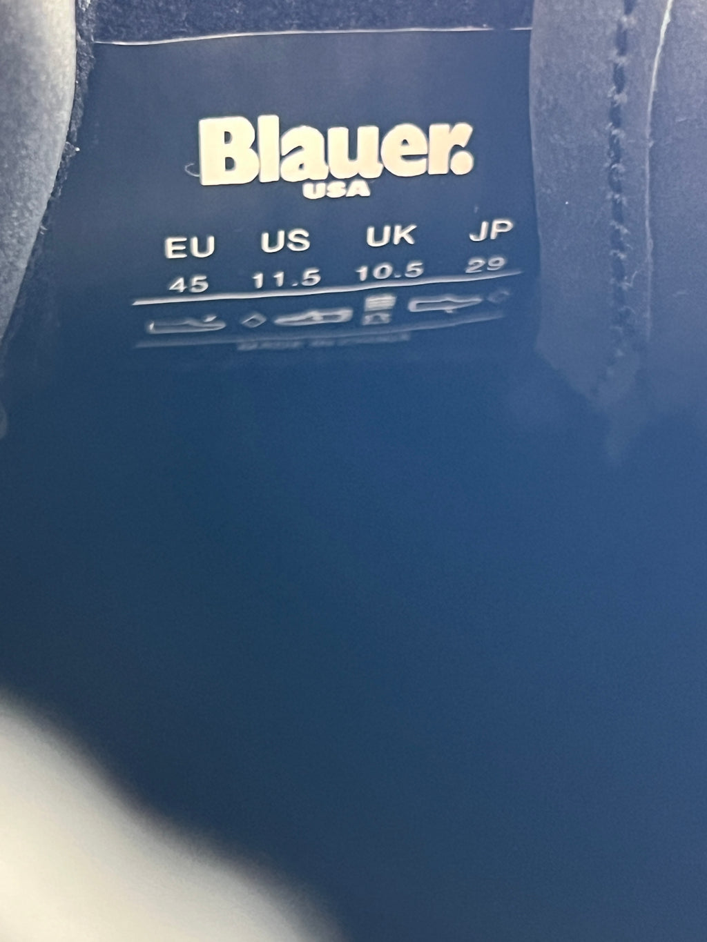 BLAUER RAY04