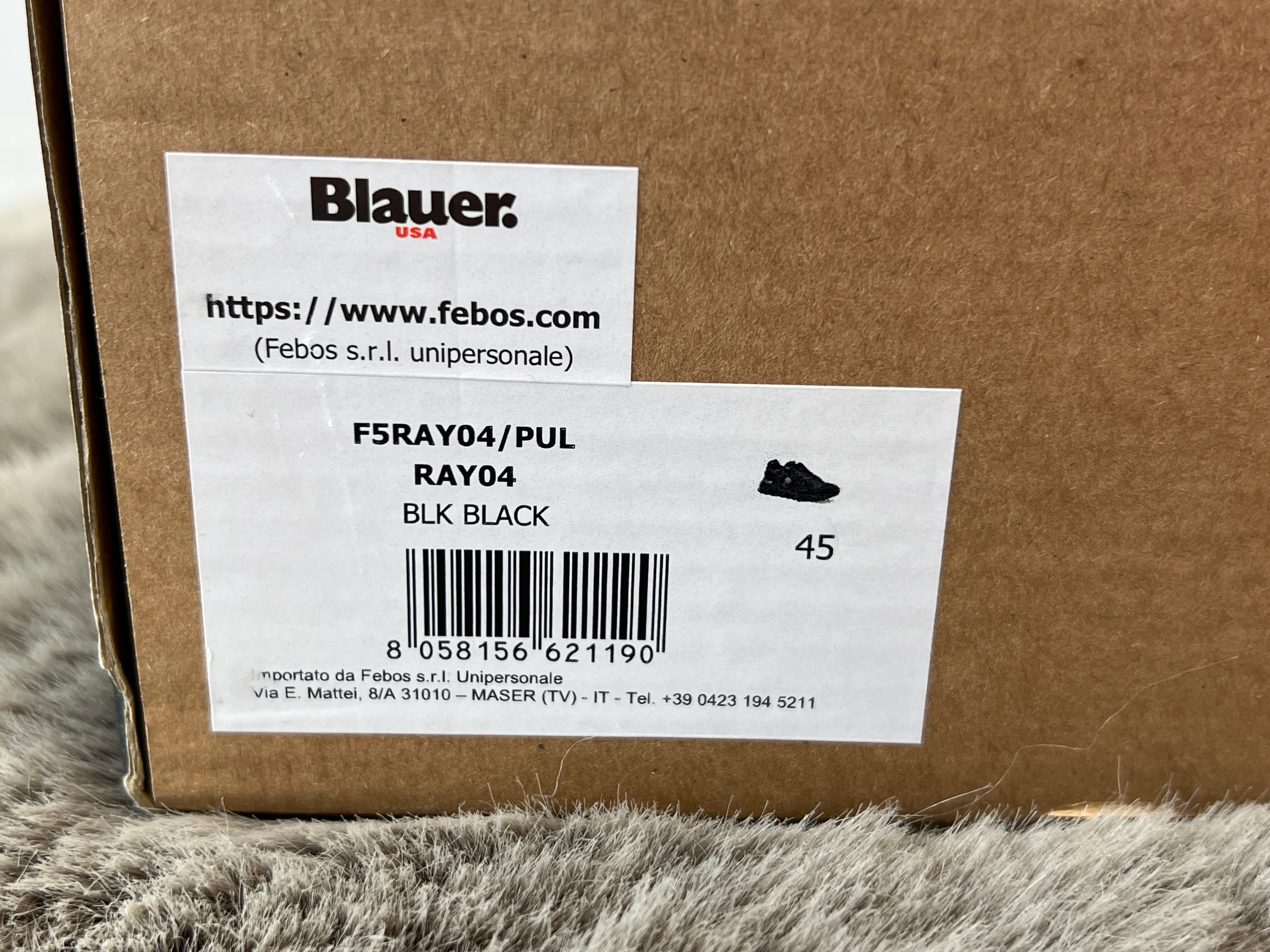 BLAUER RAY04