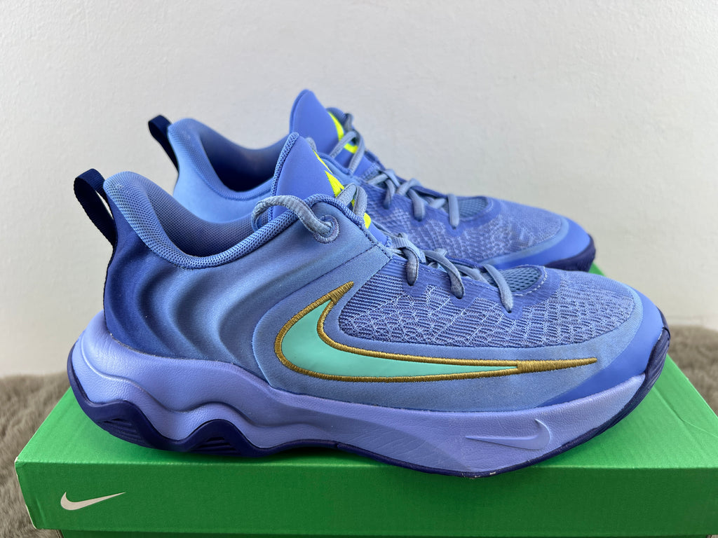 NIKE GIANNIS IMMORTALITY 4 (GS)