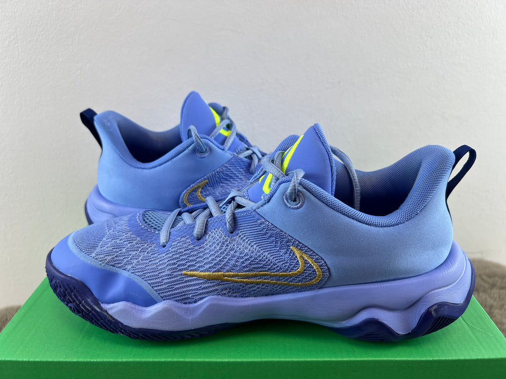 NIKE GIANNIS IMMORTALITY 4 (GS)