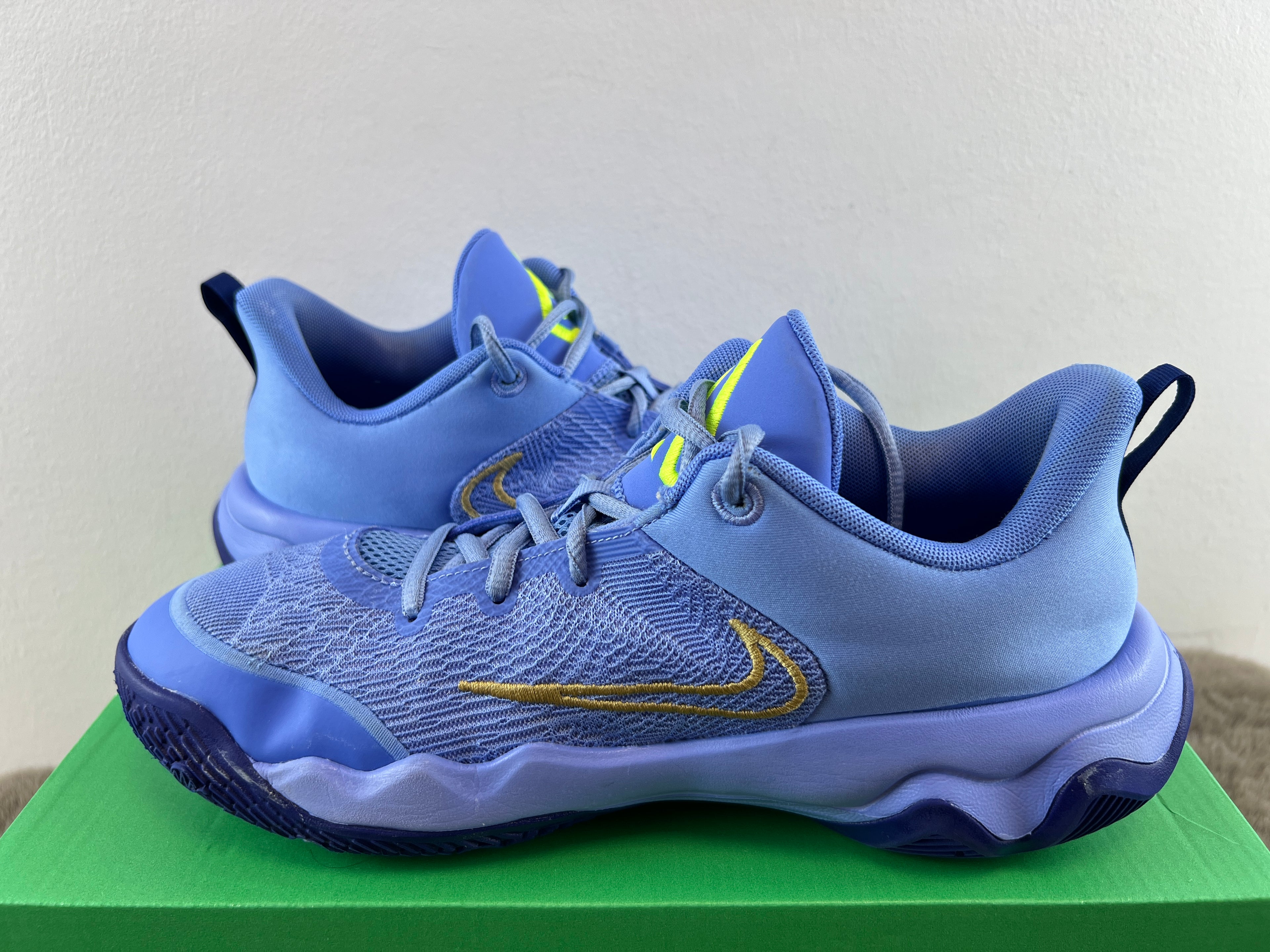NIKE GIANNIS IMMORTALITY 4 (GS)
