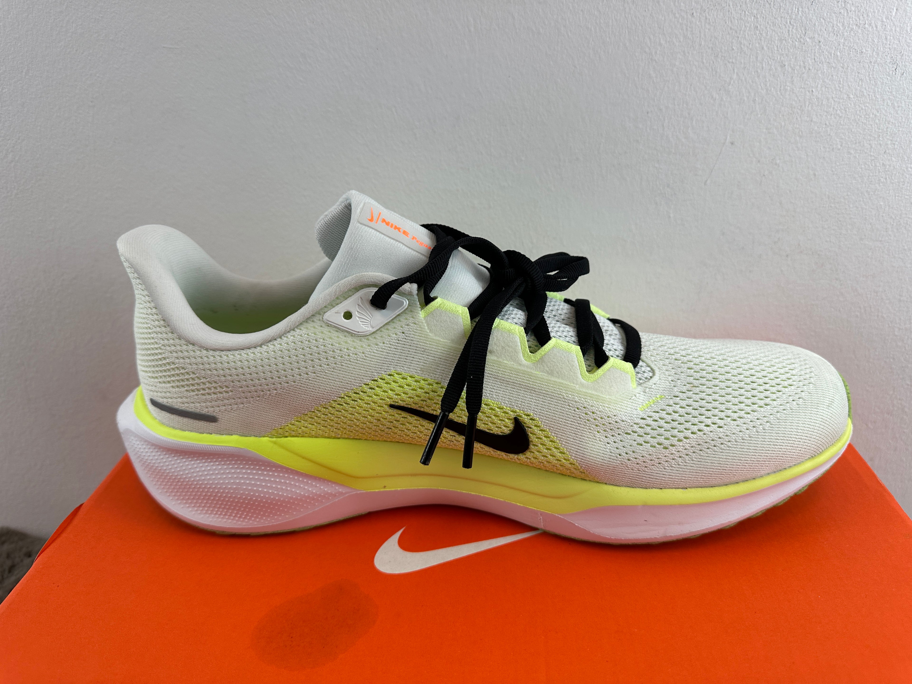 NIKE AIR ZOOM PEGASUS 41