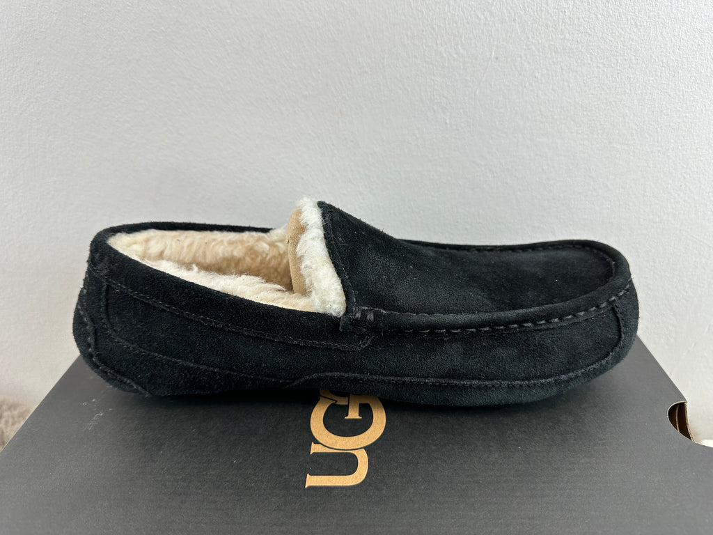 UGG M ASCOT 42