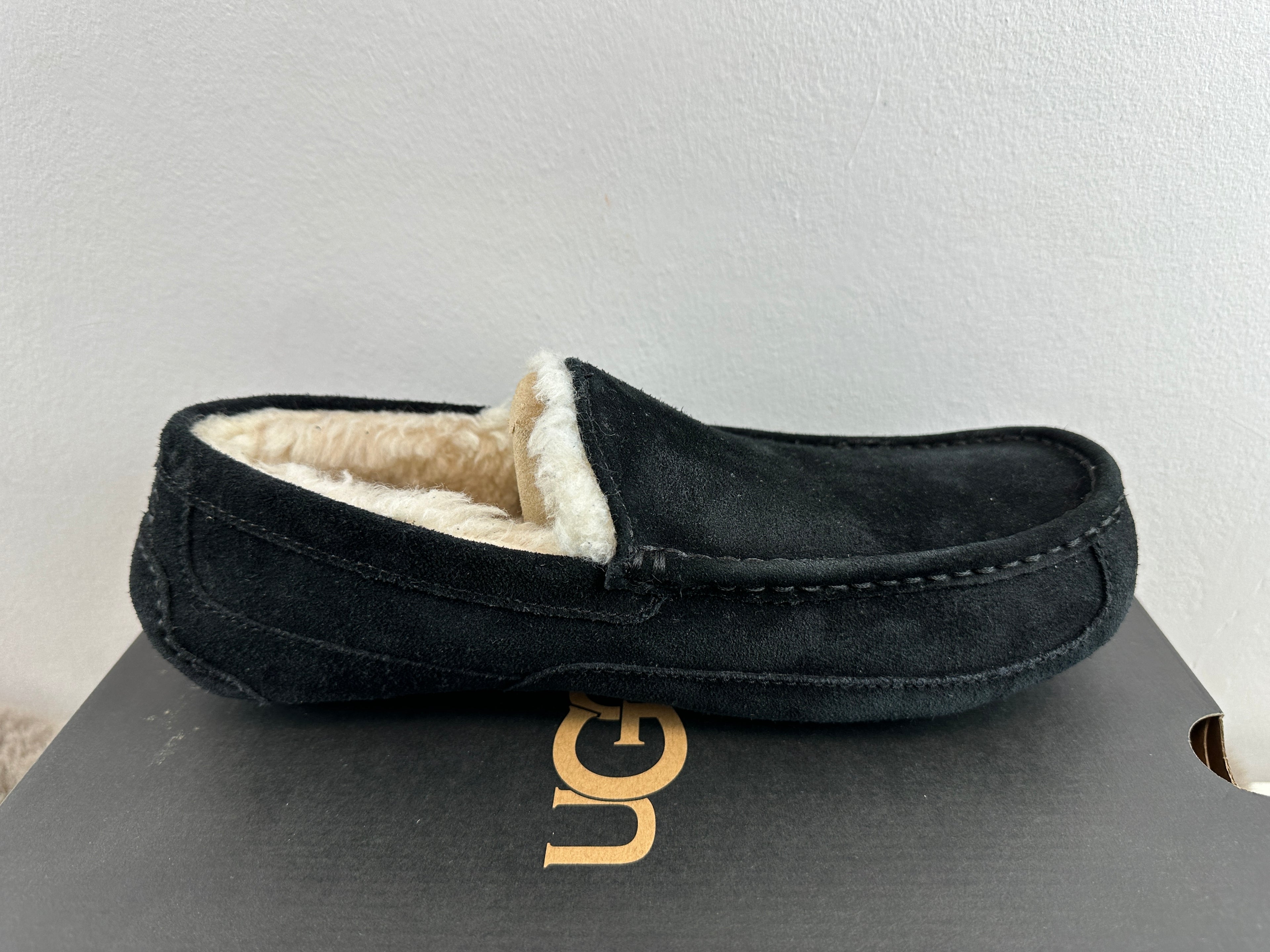 UGG M ASCOT 42