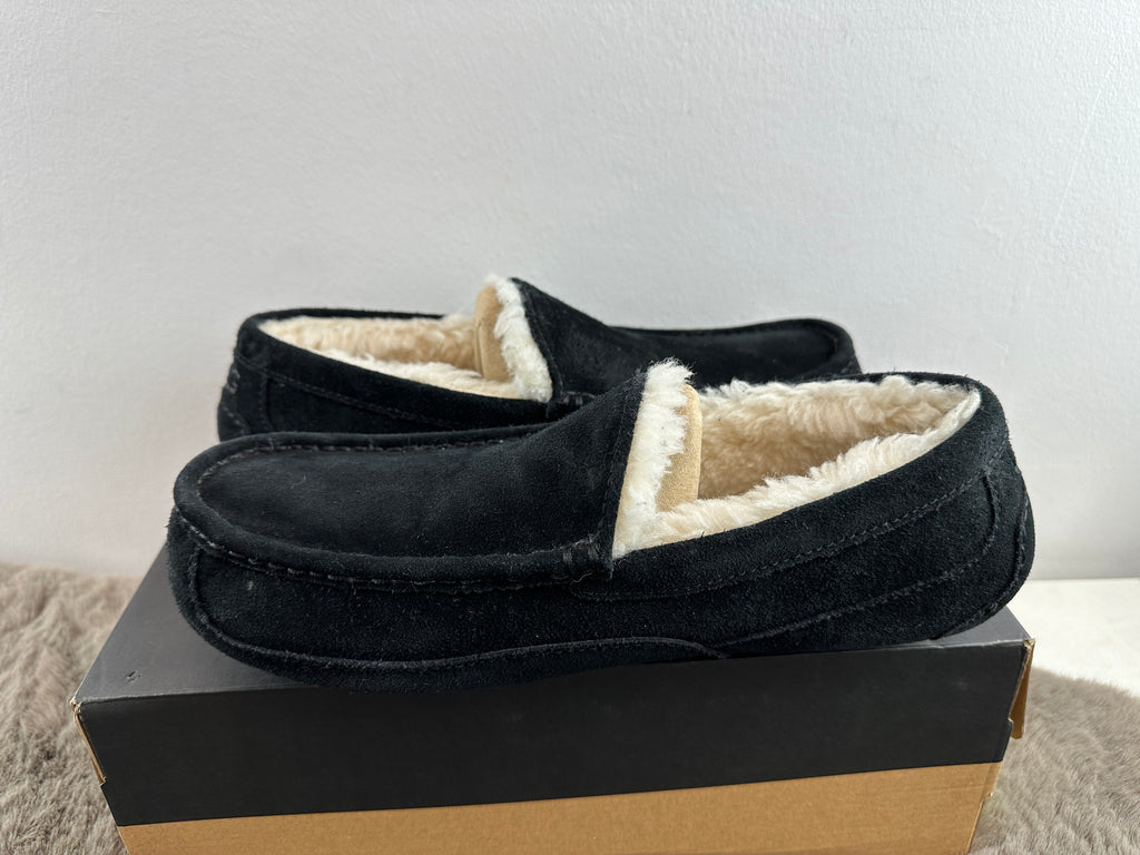 UGG M ASCOT 42