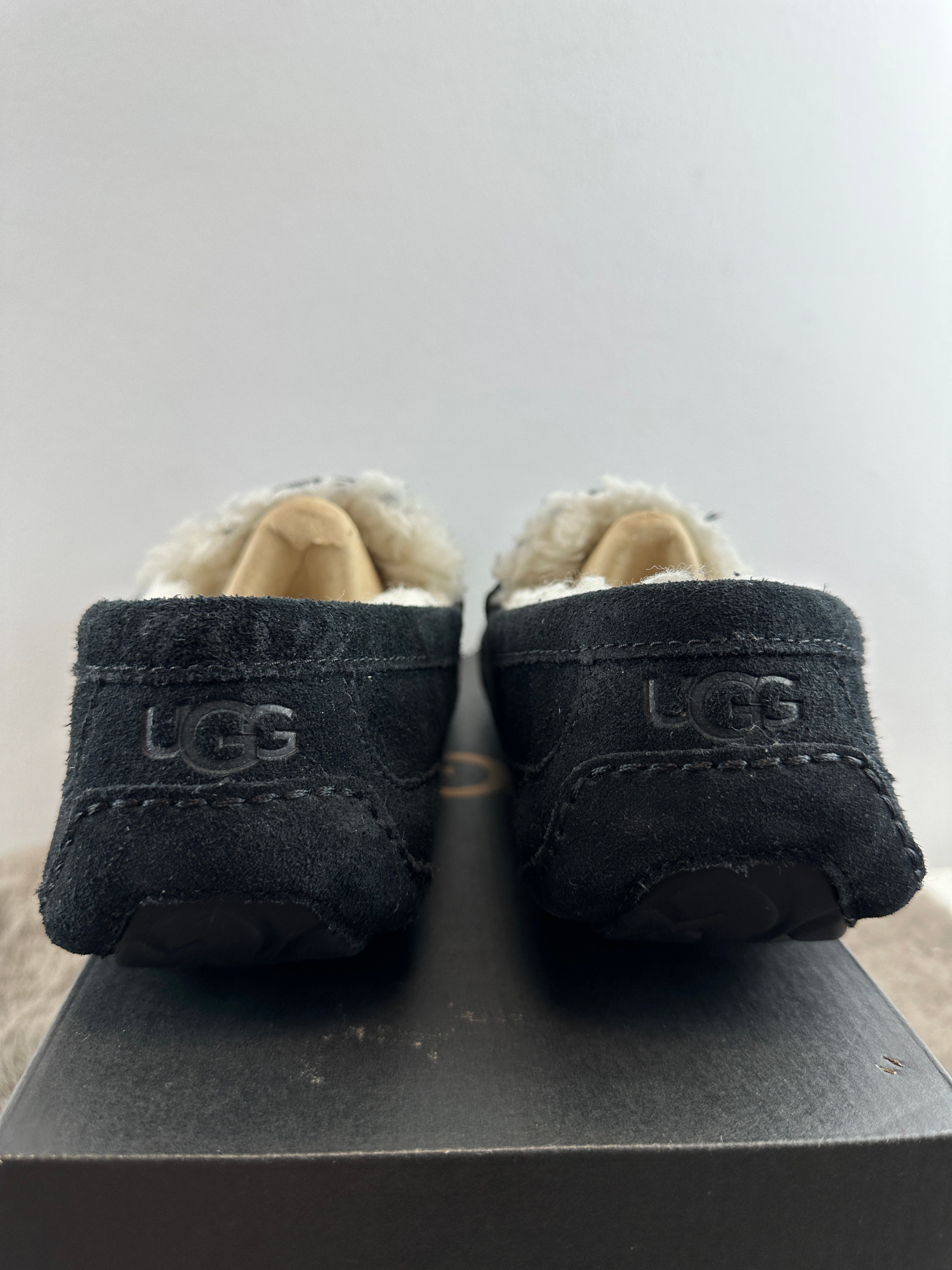 UGG M ASCOT 42